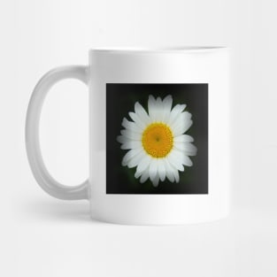 Happy Daisy Flower - White and Yellow Flower on Black Mug